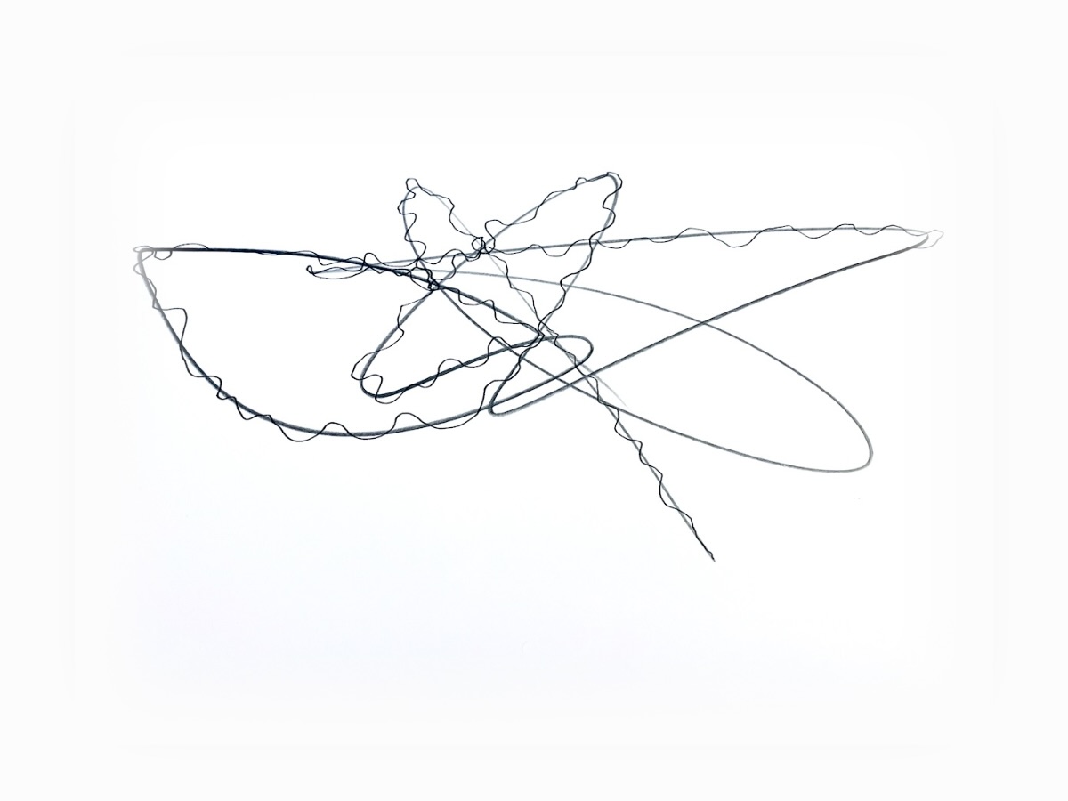 Neurographik von Silvia Grasser, Schritt 1: Die freie Linie